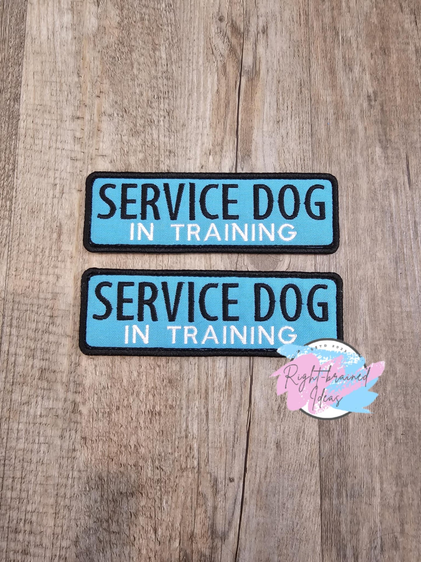 Service Dog In Training Black and White on Sky Blue Canvas Four-Piece Patch Set