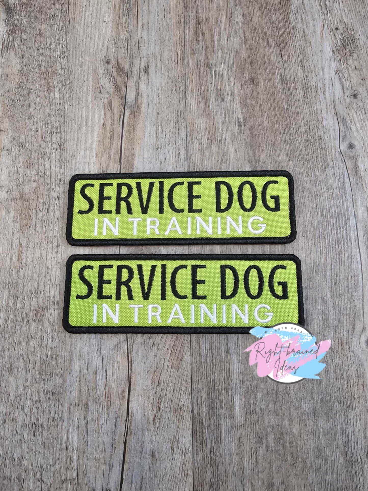 Service Dog In Training Black and White on Lime Green Canvas My Dog is Iconic Four-piece Patch and Tab Set