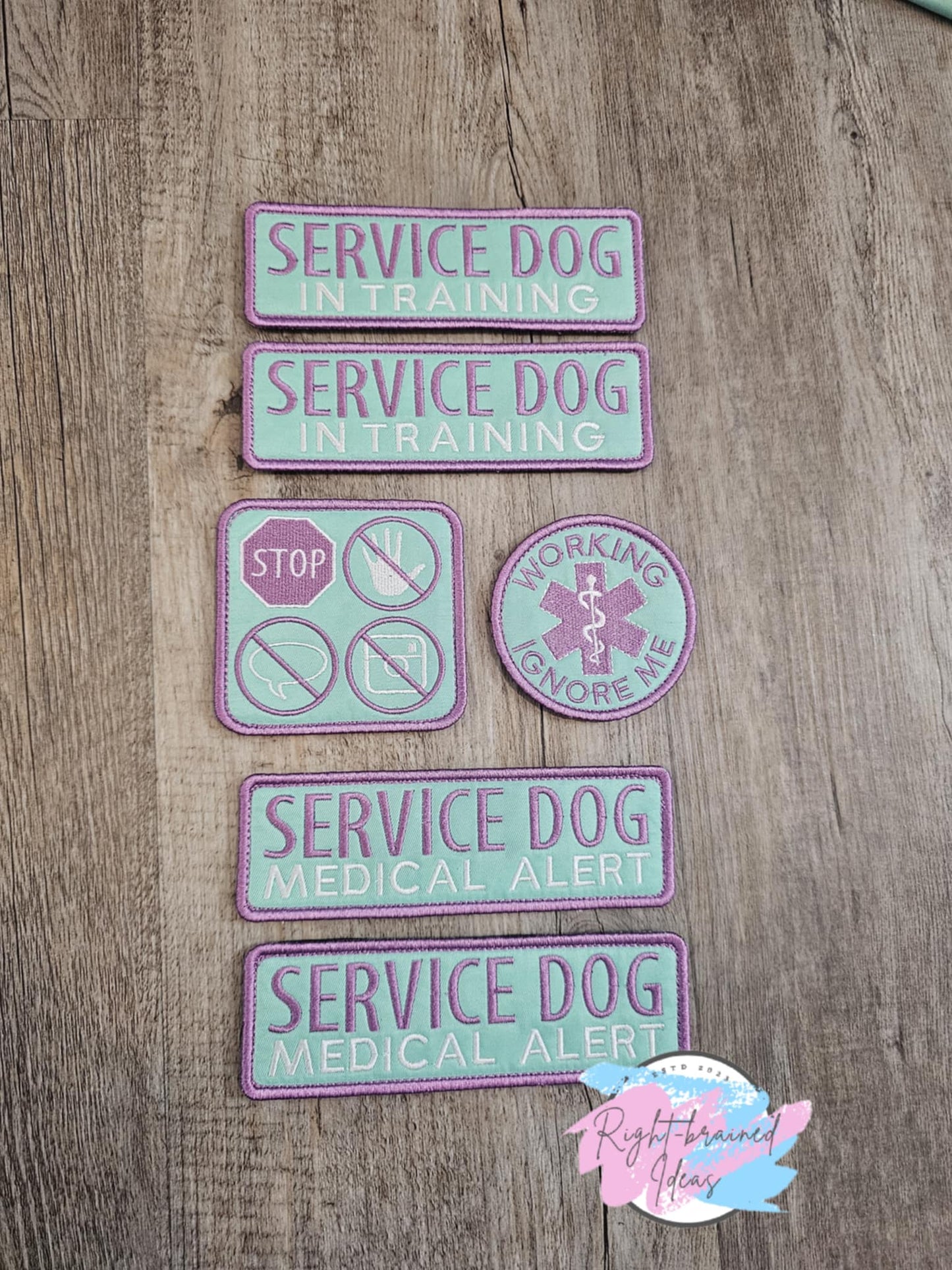 Service Dog Medical Alert In Training Lavender on Seafoam Twill Grow With Them Six-piece Set