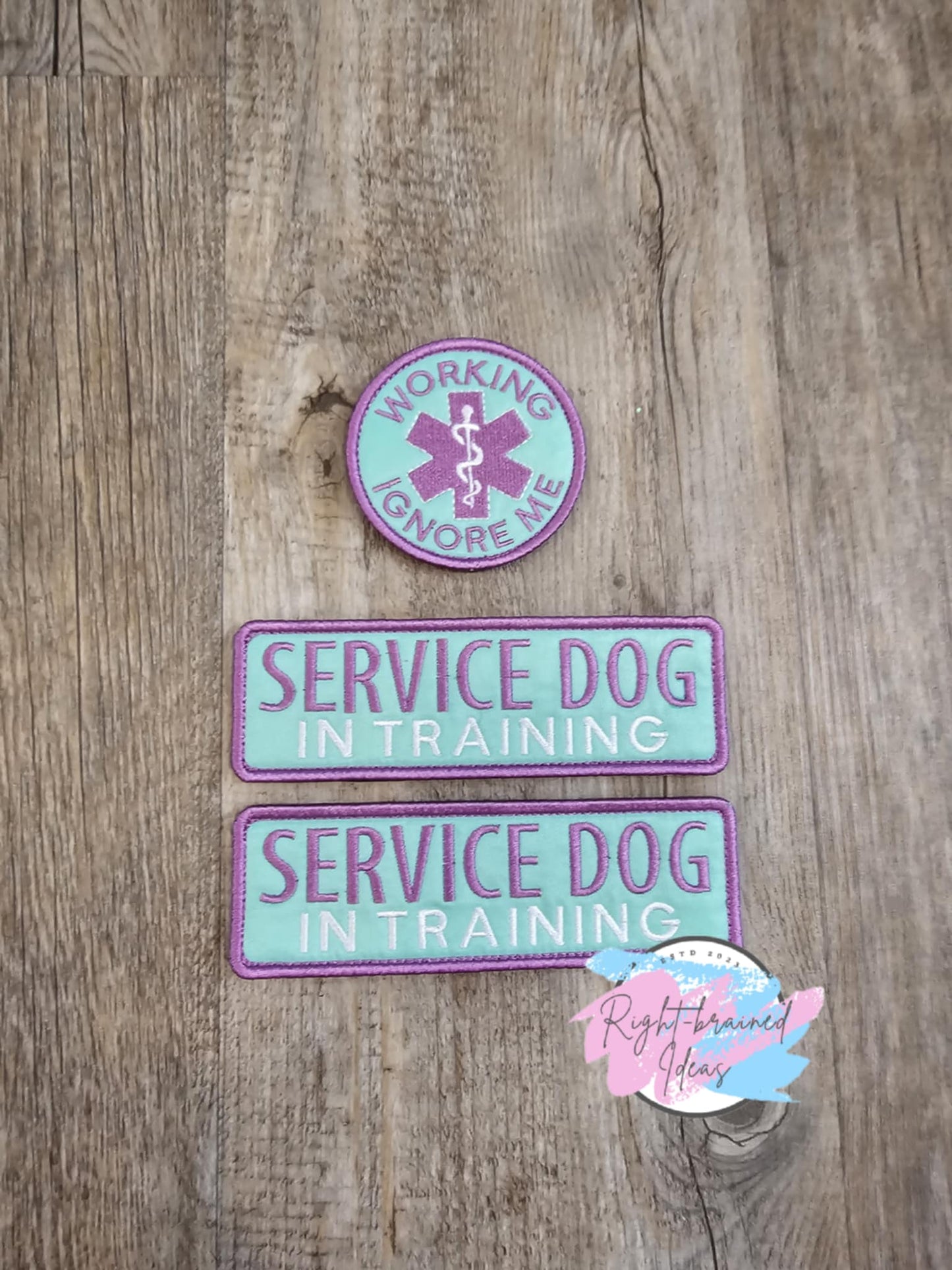 Service Dog In Training Lavender on Seafoam Twill Grow With Them Three-piece Set
