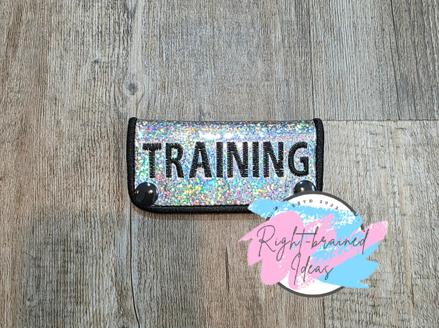 Service Dog In Training Teal And Black On Sparkle Silver Holographic Vinyl Five-piece Patch And Mini Leash Wrap Set