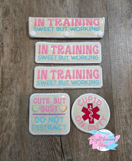 Frosted And Sweet Conversation Heart Inspired In Training Multi-colored On Sparkle White Vinyl Five-piece Patch and Leash Wrap Set
