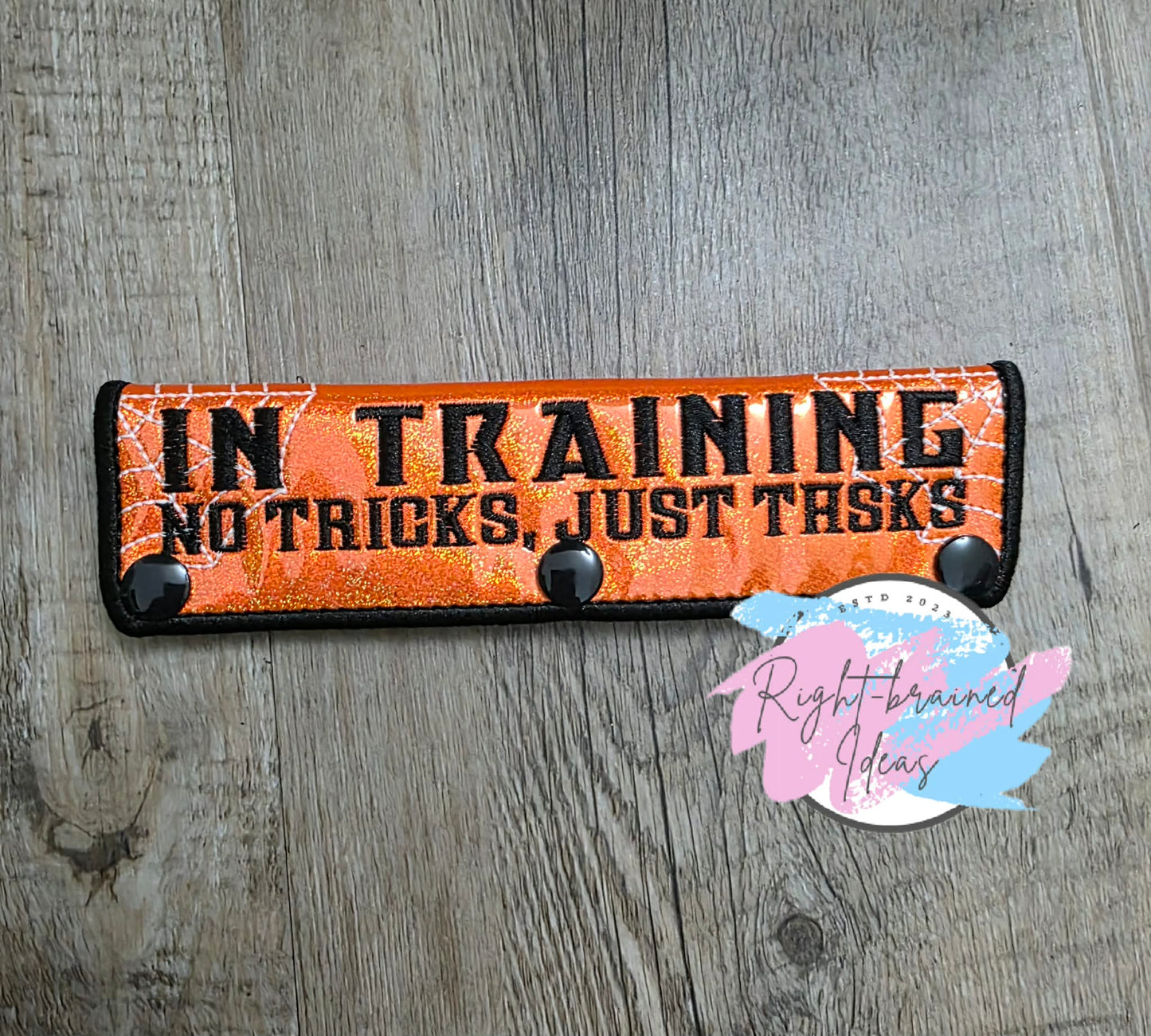 Creepy Crawley Inspired Service Dog In Training Glow-In-The-Dark White And Black On Sparkle Neon Orange Holographic Vinyl Five-piece Oversized Patch And Leash Wrap Set