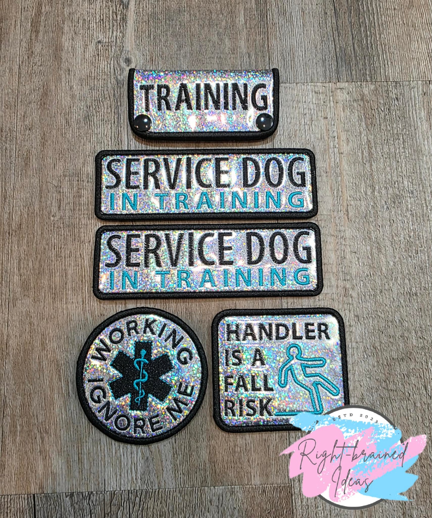 Service Dog In Training Teal And Black On Sparkle Silver Holographic Vinyl Five-piece Patch And Mini Leash Wrap Set