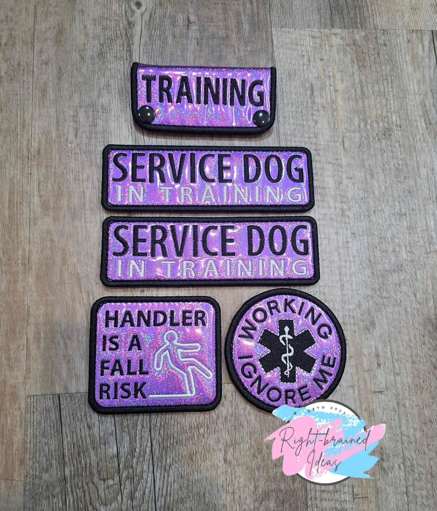 Service Dog In Training White And Black On Sparkle Purple Holographic Vinyl Five-piece Patch And Mini Leash Wrap Set