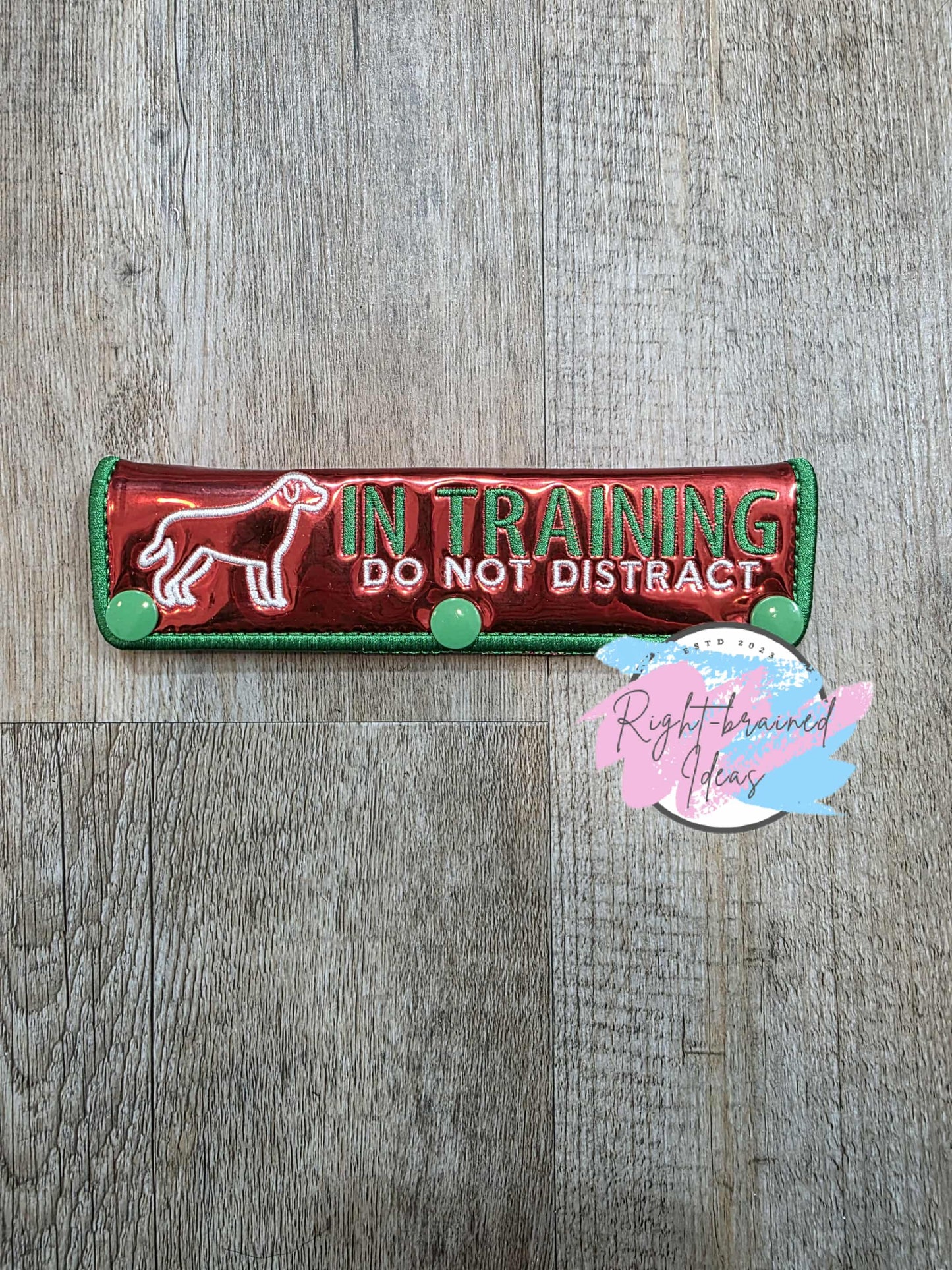 Service Dog In Training Satin Green And White On Red Metallic Red Vinyl Five-piece Patch And Leash Wrap Set