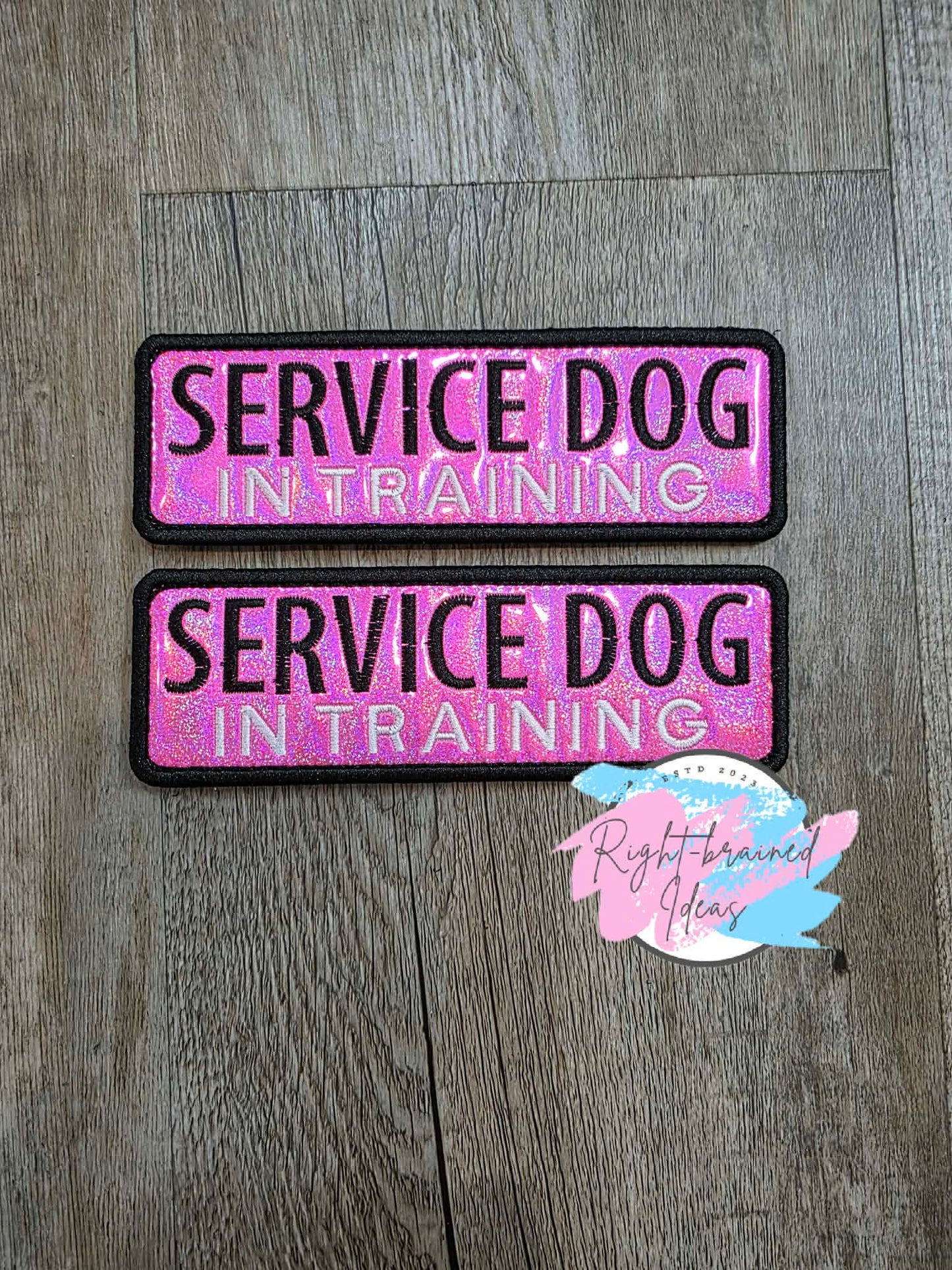 In Training Do Not Distract Black And White On Sparkle Pink Holographic Vinyl Five-piece Patch and Leash Wrap Set
