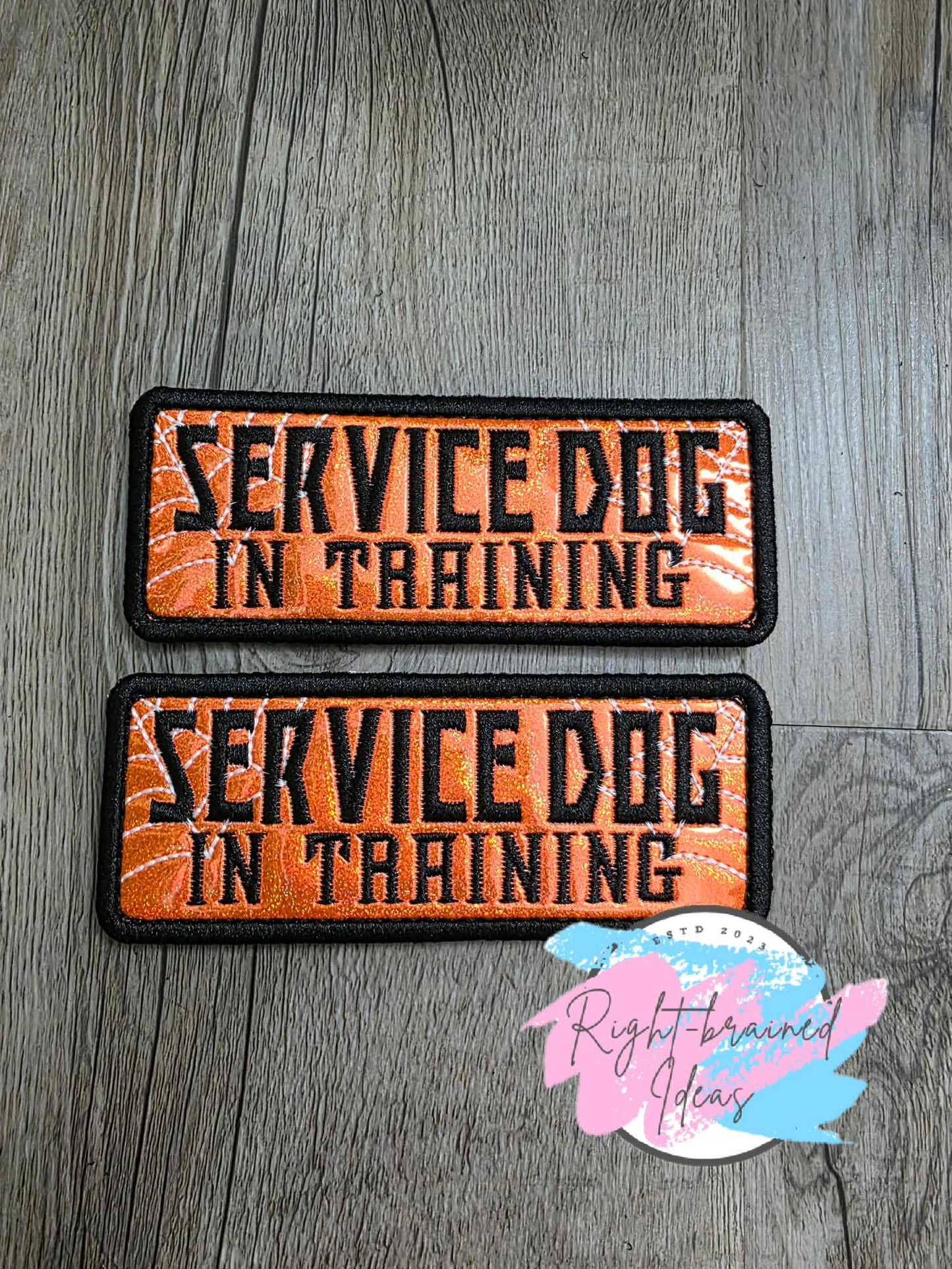 Fun Size Creepy Crawley Inspired Service Dog In Training Glow-In-The-Dark White And Black On Sparkle Neon Orange Holographic Vinyl Four-piece Patch Set