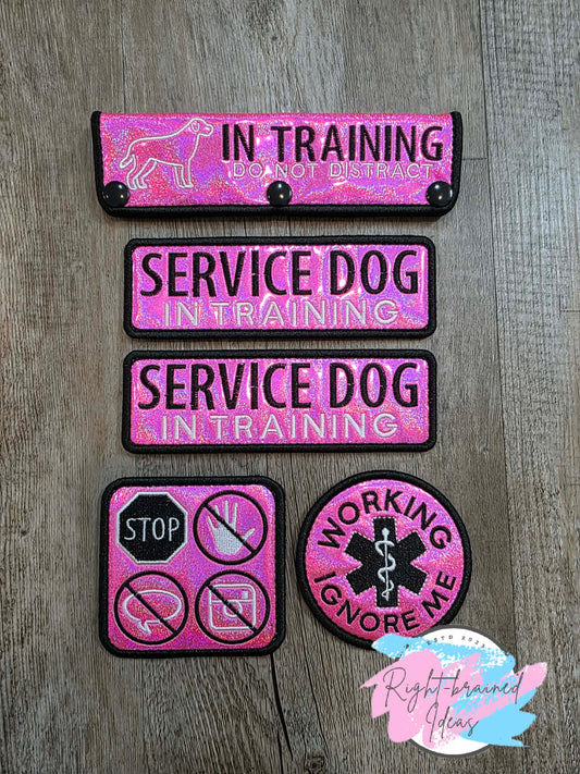 In Training Do Not Distract Black And White On Sparkle Pink Holographic Vinyl Five-piece Patch and Leash Wrap Set
