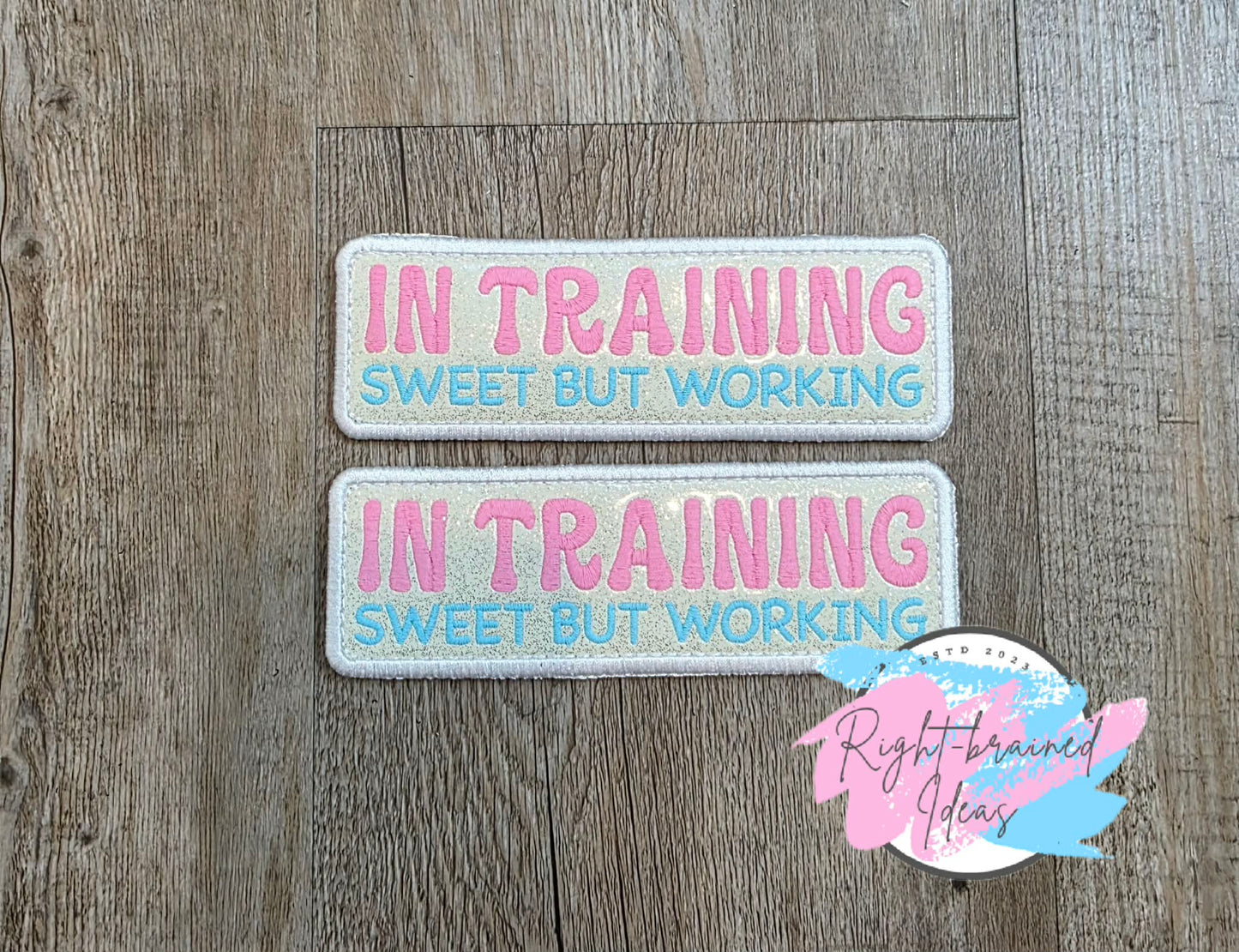 Frosted And Sweet Conversation Heart Inspired In Training Multi-colored On Sparkle White Vinyl Five-piece Patch and Leash Wrap Set