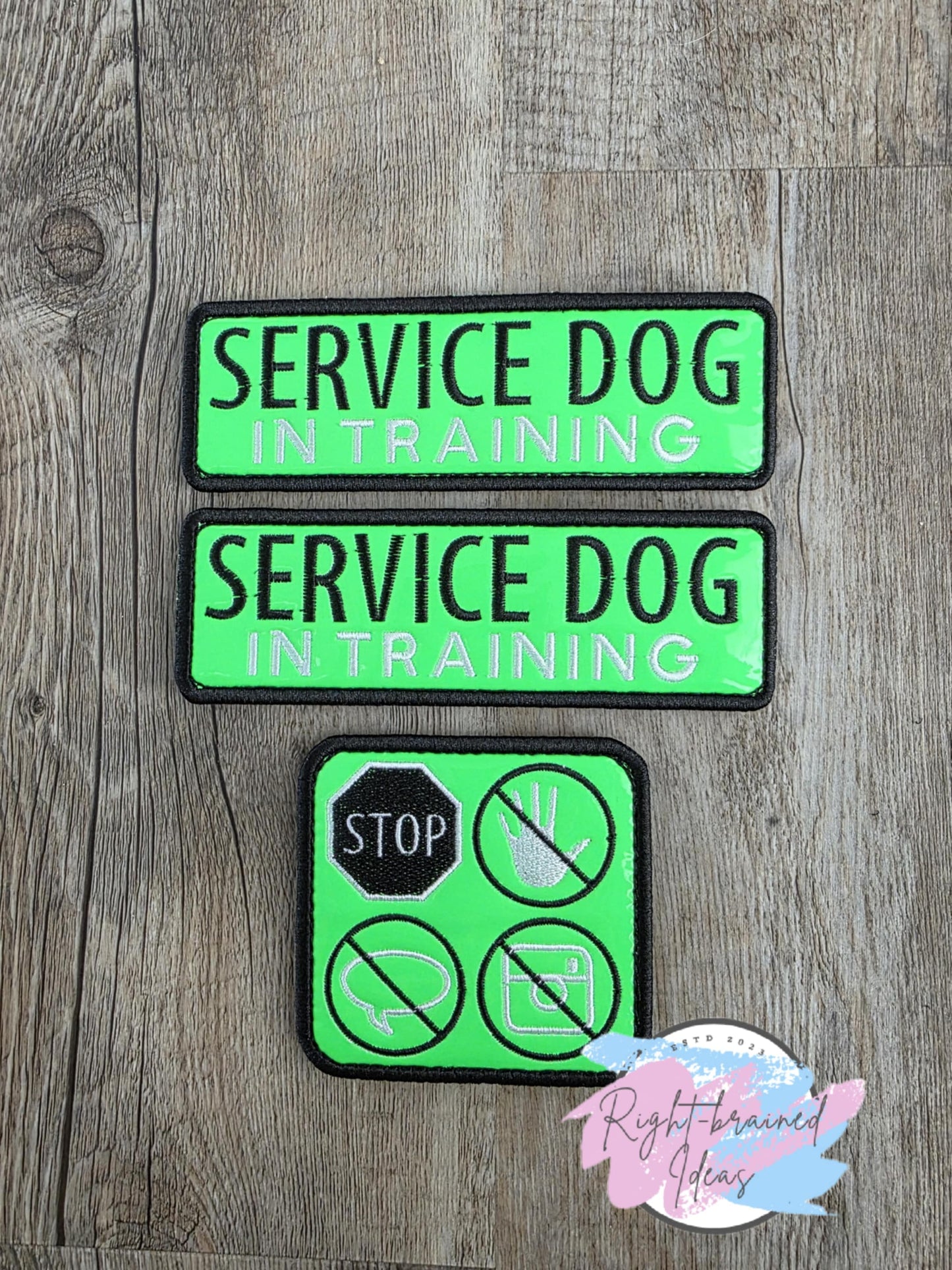 Service Dog In Training Black And White On Neon Green Vinyl Three-piece Patch Set