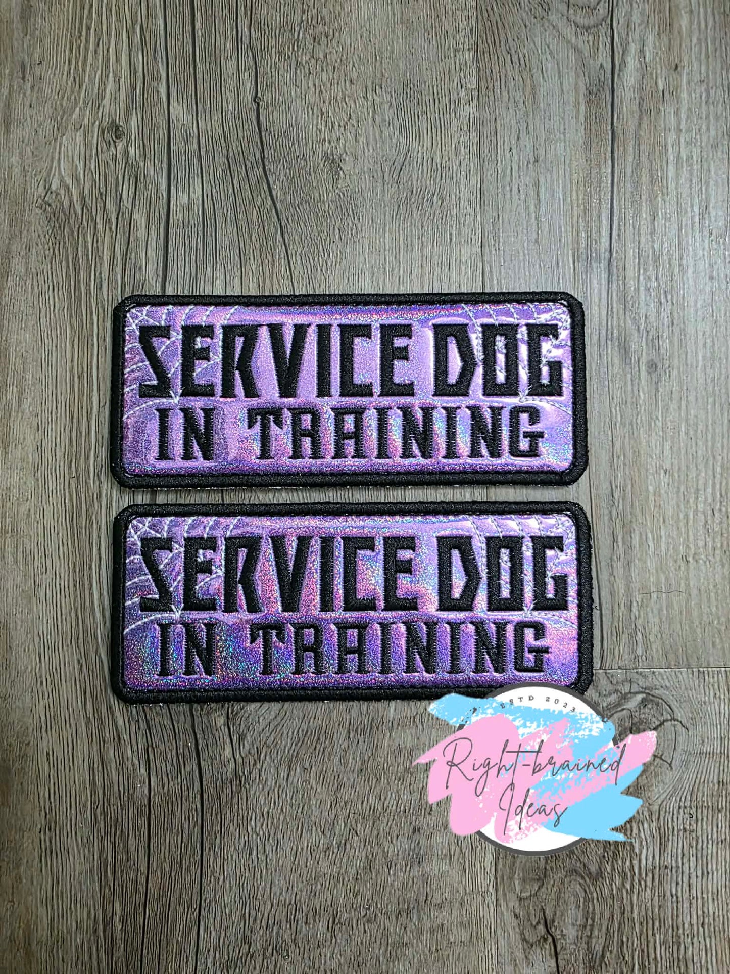 Creepy Crawley Inspired Service Dog In Training Glow-In-The-Dark White And Black On Sparkle Purple Holographic Vinyl Five-piece Oversized Patch And Leash Wrap Set