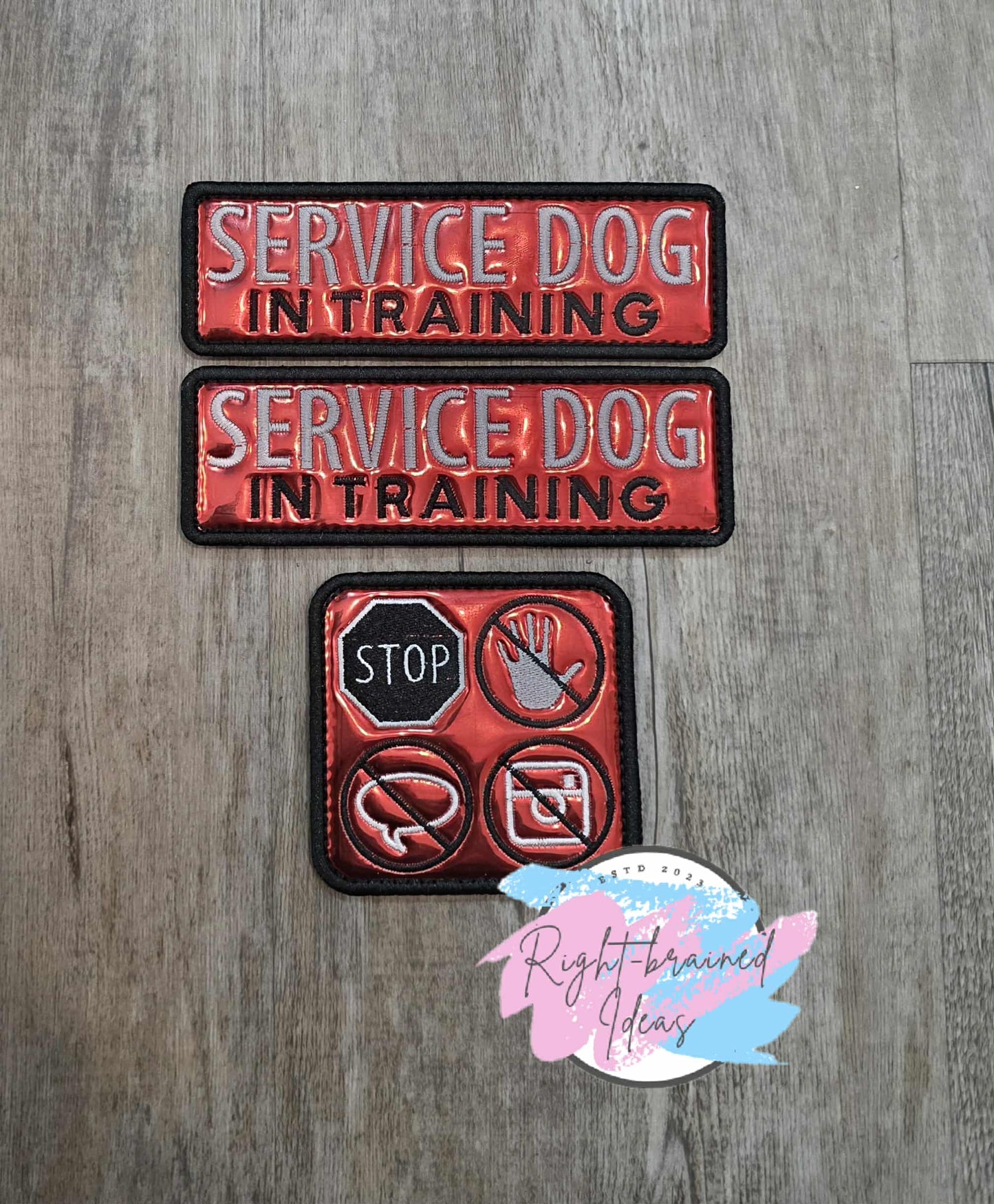 Service Dog In Training Black And White on Metallic Red Vinyl Three-piece Patch Set