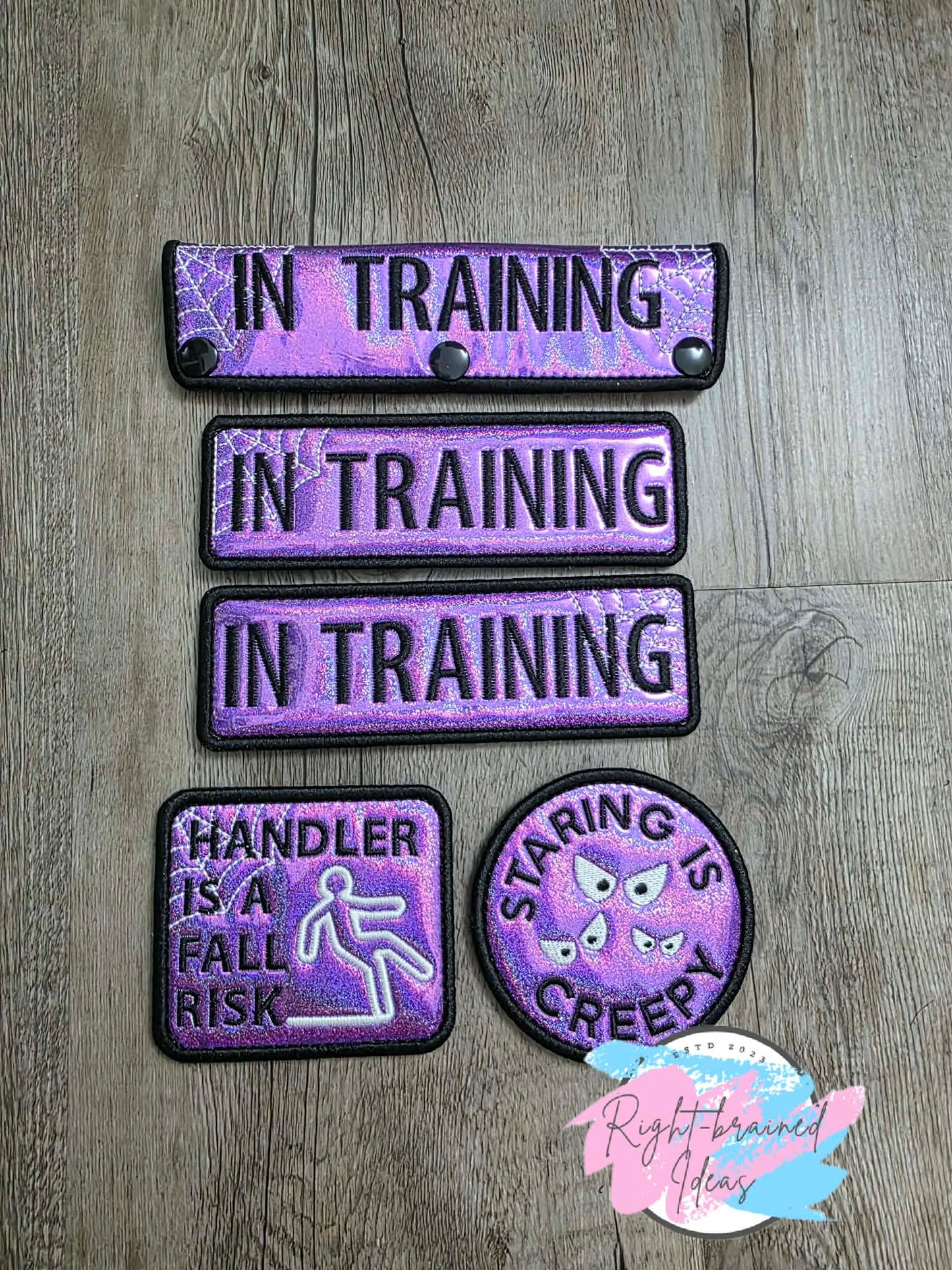 In Training Creepy Crawley Inspired Black and Glow-in-the-Dark White on Sparkle Purple Holographic Vinyl Five-piece Patch Set