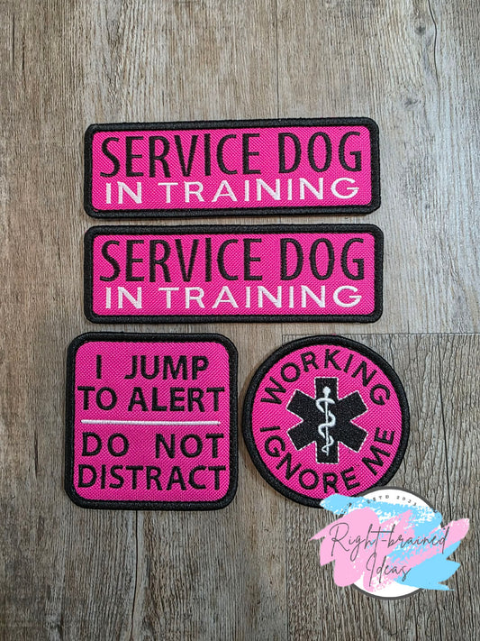 Service Dog Jump To Alert White And Black On Fuchsia Ottertex Canvas Four-piece Patch Set