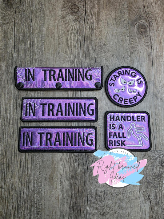 In Training Creepy Crawley Inspired Black and Glow-in-the-Dark White on Sparkle Purple Holographic Vinyl Five-piece Patch Set