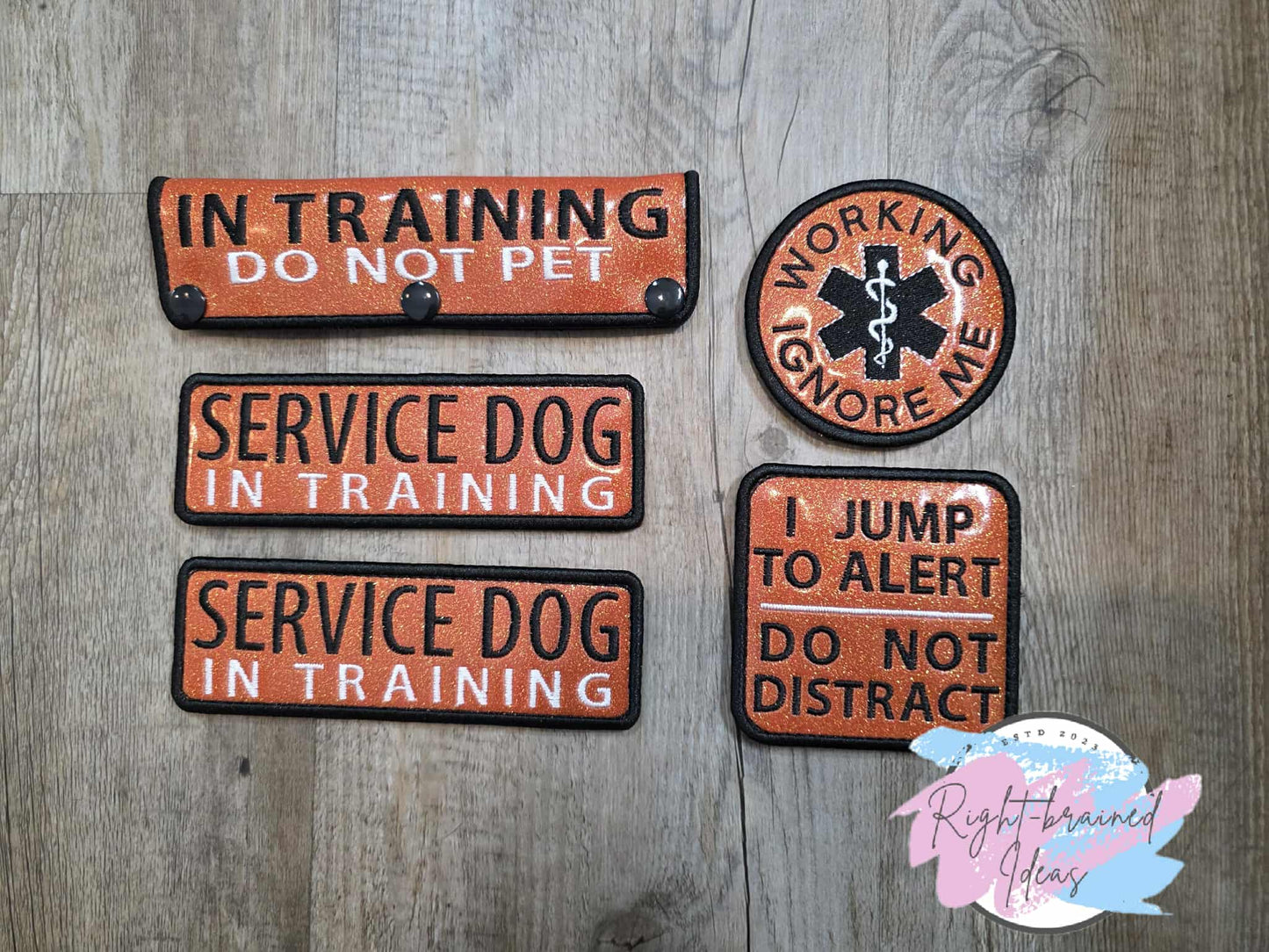 In Training Do Not Pet Black And White On Sparkle Burnt Orange Vinyl Five-piece Patch And Leash Wrap