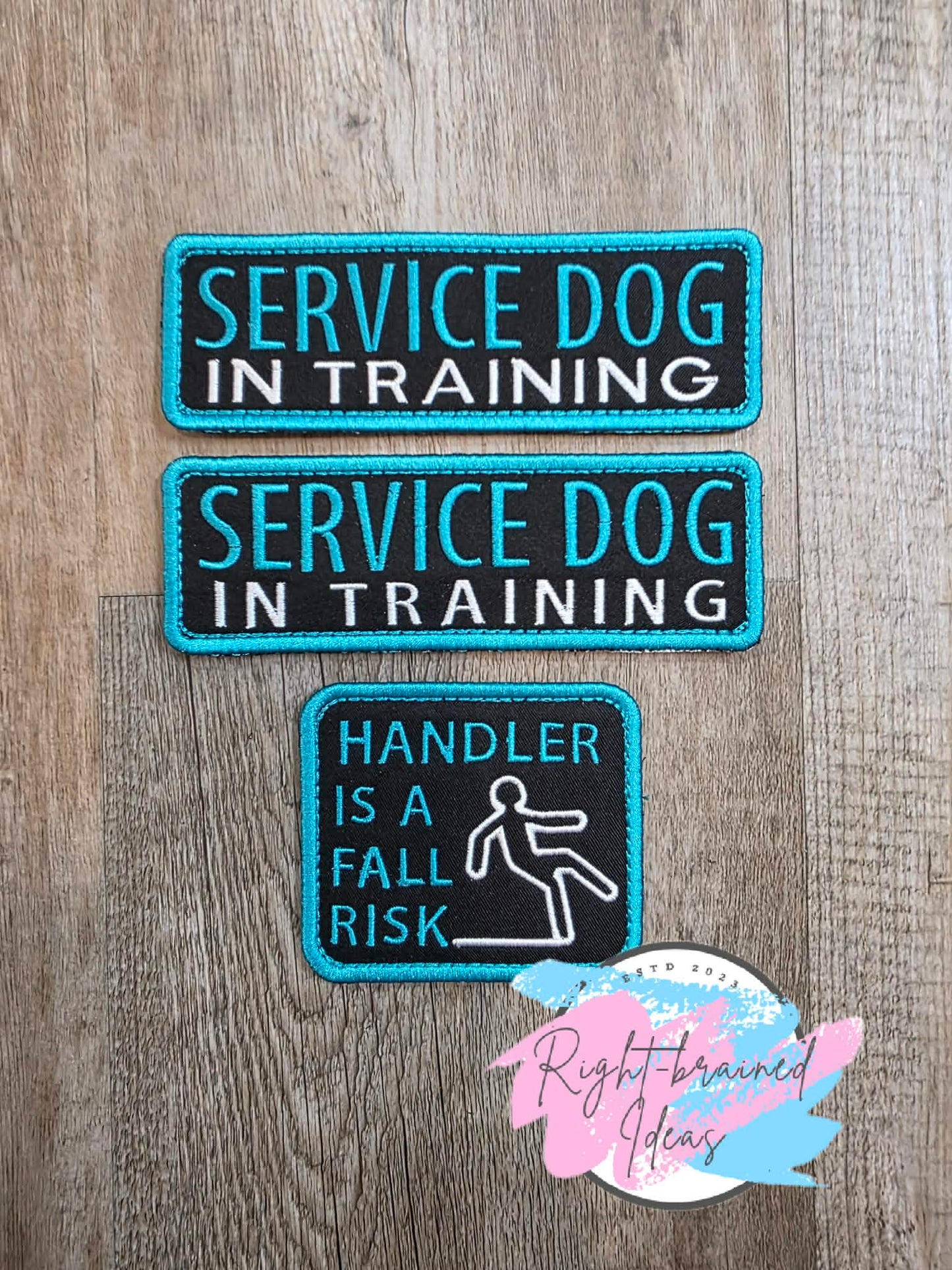 Service Dog In Training Teal And White On Lightweight High Performance Black Twill Three-piece Patch Set