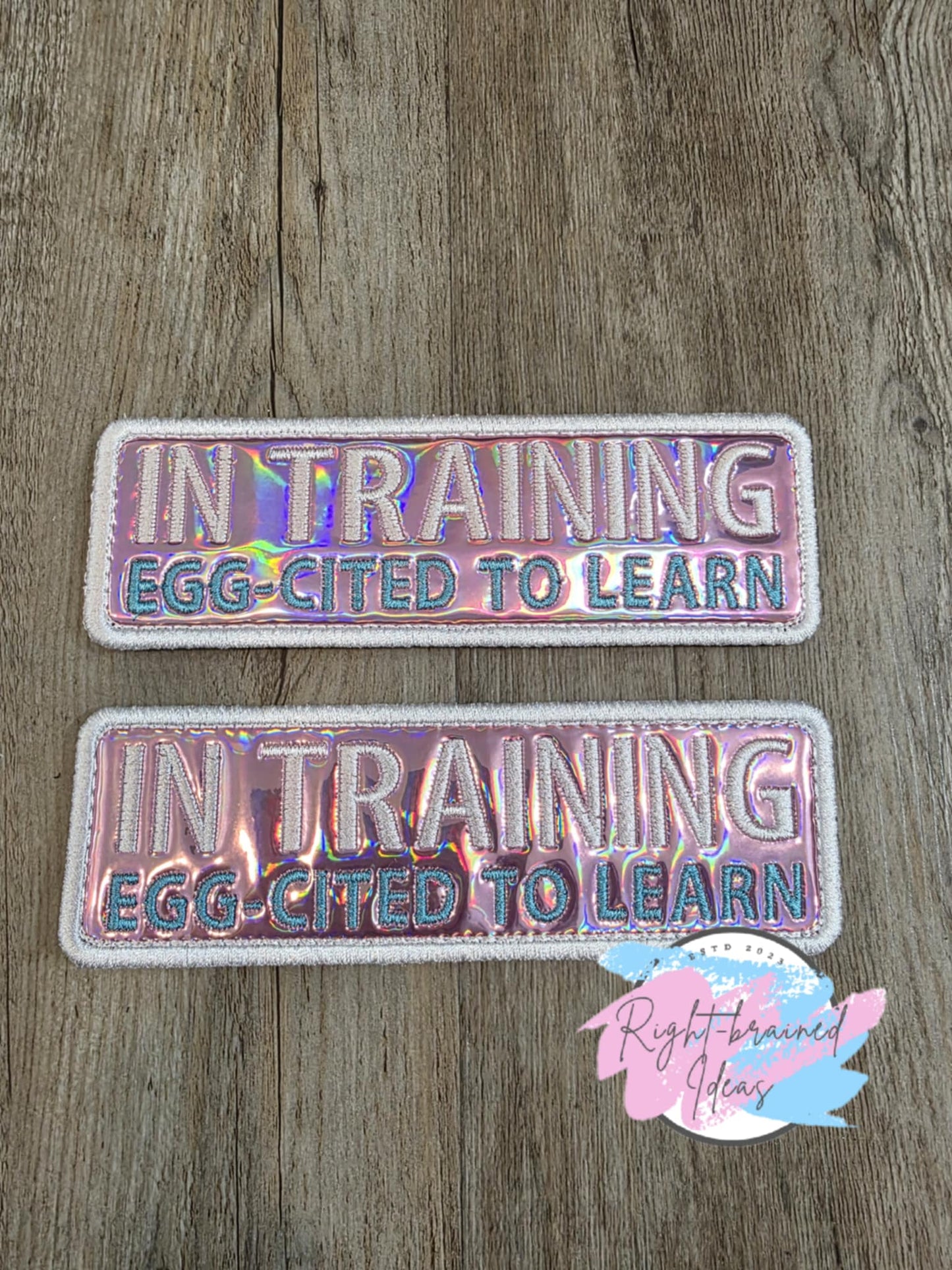 Easter Egg and Bunny Inspired In Training White on Light Pink Holographic Vinyl Four-piece Patch and Patch Tab Set