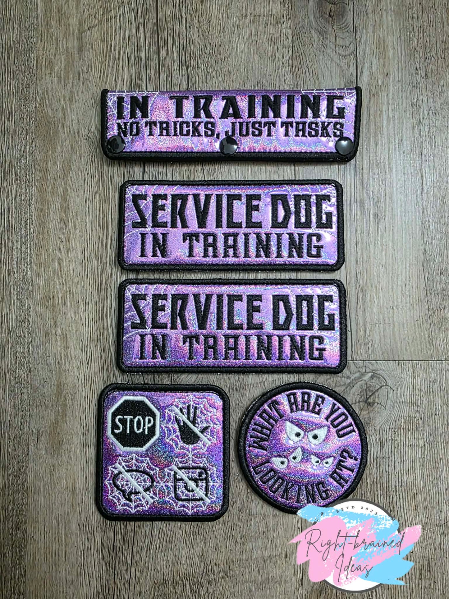 Creepy Crawley Inspired Service Dog In Training Glow-In-The-Dark White And Black On Sparkle Purple Holographic Vinyl Five-piece Oversized Patch And Leash Wrap Set