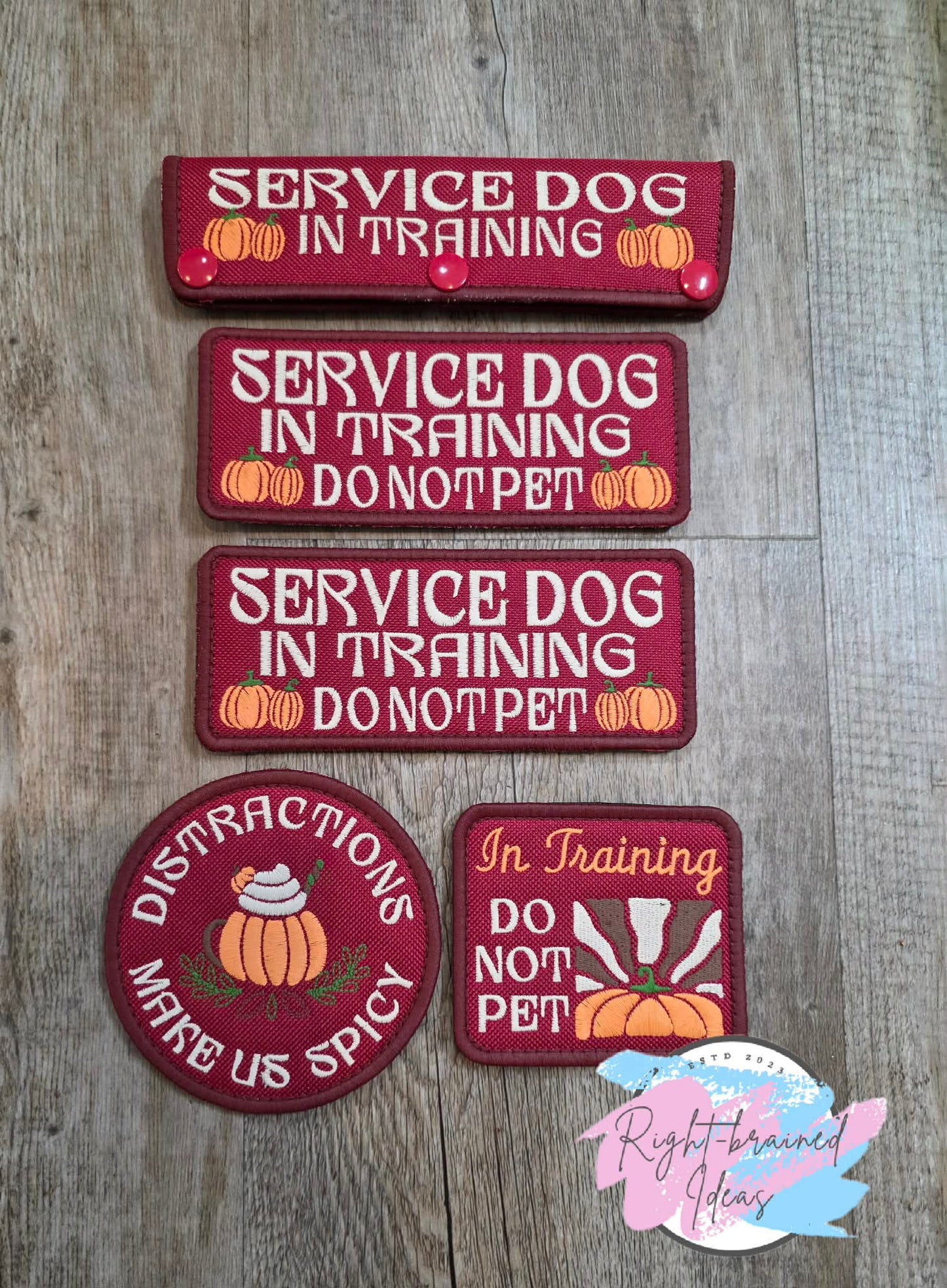 Autumn Inspired Over Size Service Dog Distractions Make Us Spicy Fall Matt Palette Of Colors On Maroon Ottertex Canvas Five-piece Patch and Leash Wrap Set