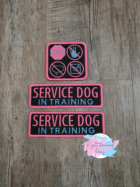 Service Dog, In Training Neon Pink/Blue on Black Twill Three-piece Set