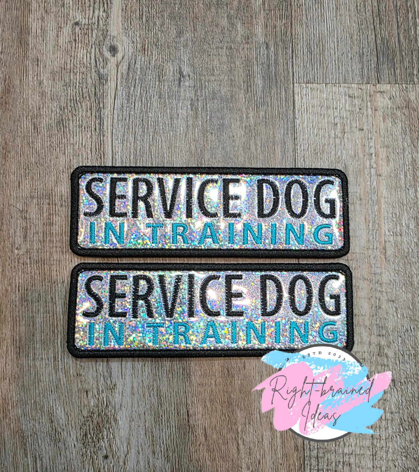 Service Dog In Training Teal And Black On Sparkle Silver Holographic Vinyl Five-piece Patch And Mini Leash Wrap Set