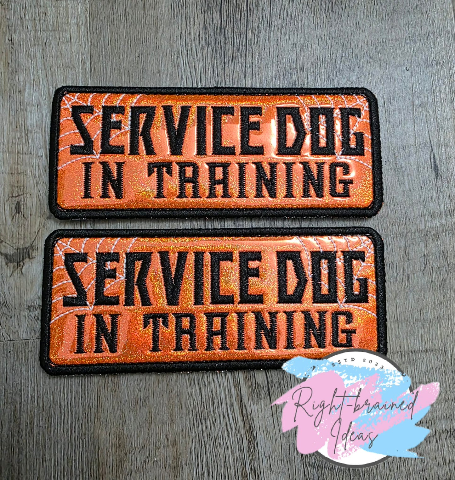 Creepy Crawley Inspired Service Dog In Training Glow-In-The-Dark White And Black On Sparkle Neon Orange Holographic Vinyl Five-piece Oversized Patch And Leash Wrap Set