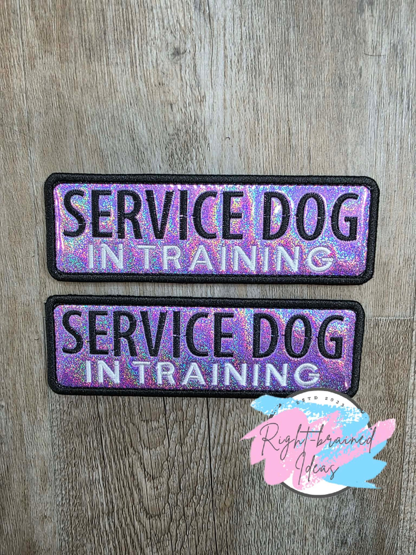 In Training Do Not Distract Black And White On Sparkle Purple Holographic Vinyl Five-piece Patch and Leash Wrap Set