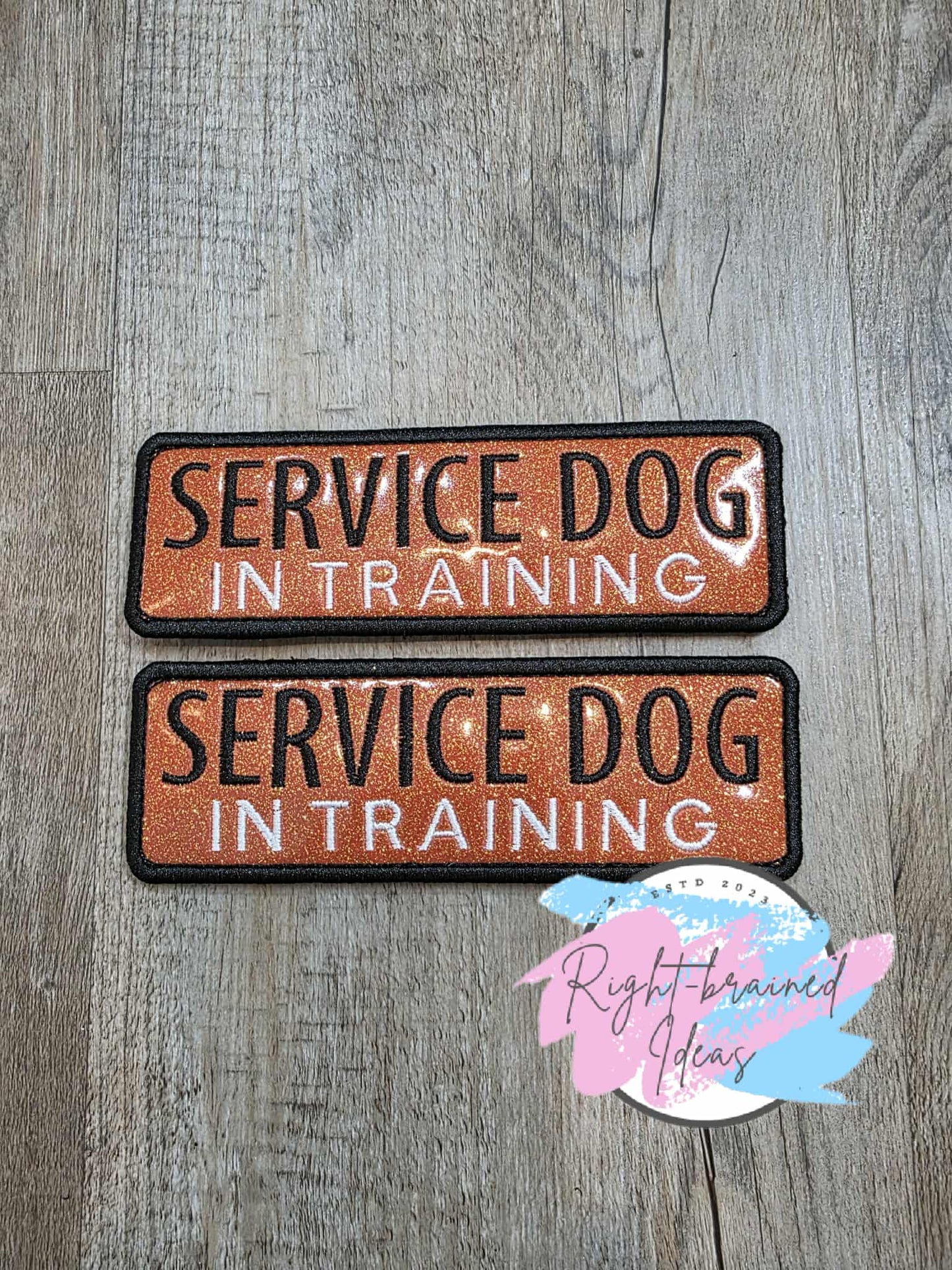 *Minor Cosmetic Flaw* Service Dog In Training Black And White On Sparkle Burnt Orange Vinyl Four-piece Patch Set
