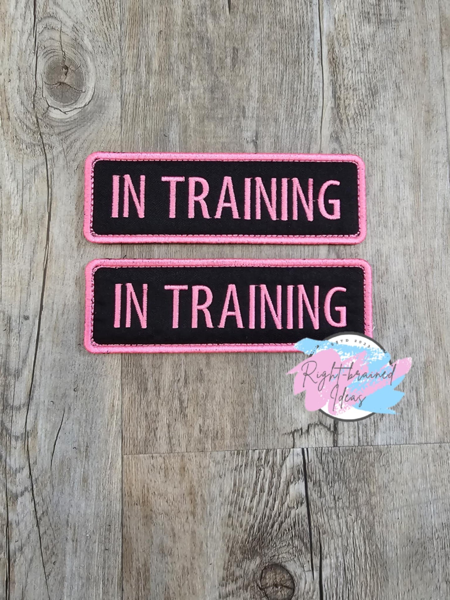 In Training Neon Pink on Black Two-piece Patch Set.