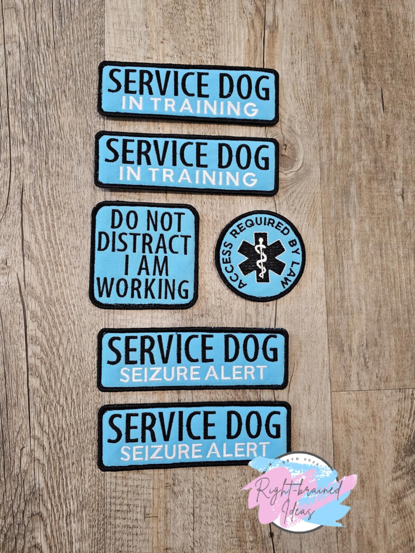 Service Dog, In Training, Seizure Alert Grow With Them Black on Sky Blue Canvas Six-piece Patch Set