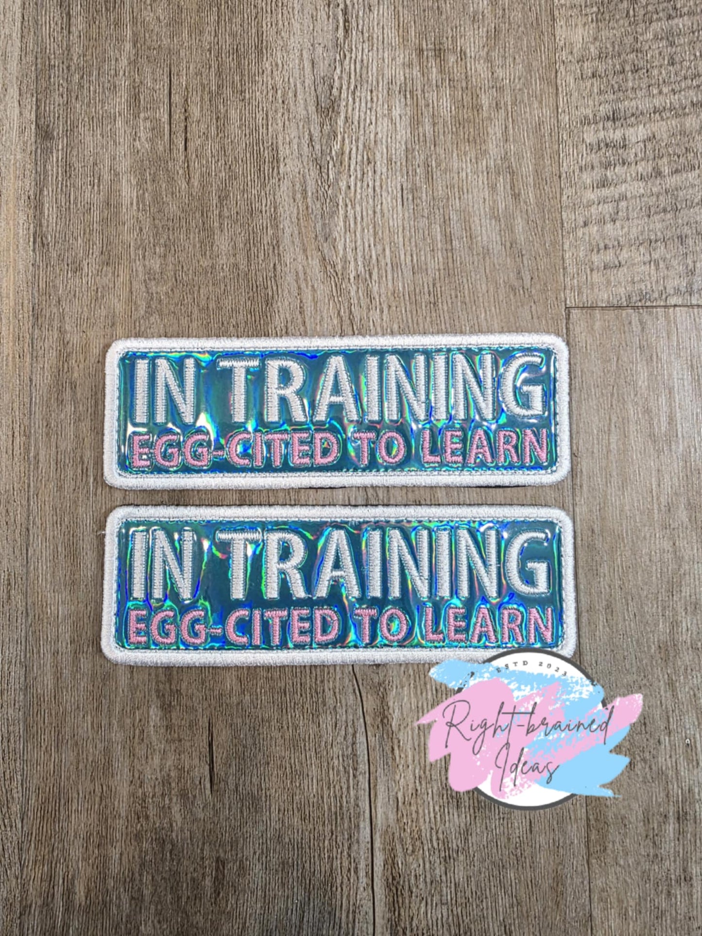 Easter Egg and Bunny Inspired In Training White on Teal Holographic Vinyl Four-piece Patch and Patch Tab Set